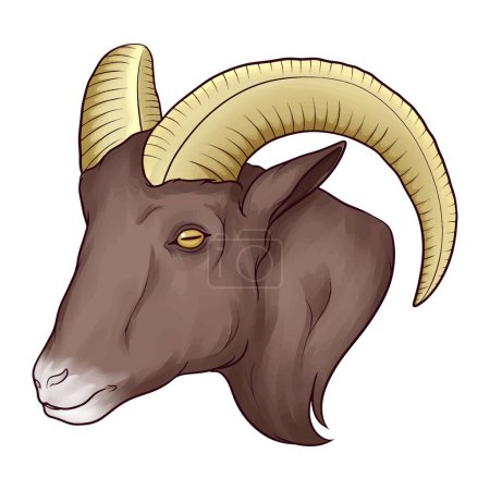 Téléchargez les illustrations : Tête de chèvre dessinée main - en licence libre de droit