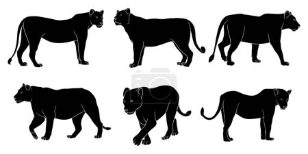 Illustration for Hand drawn silhouette of female lion - Royalty Free Image