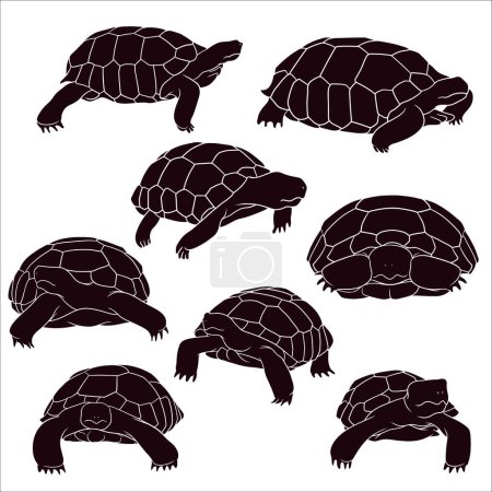 Illustration for Hand drawn silhouette of tortoise - Royalty Free Image