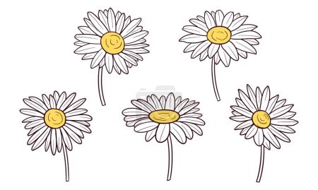 Téléchargez les illustrations : Ensemble de fleurs de marguerite dessinées à la main - en licence libre de droit