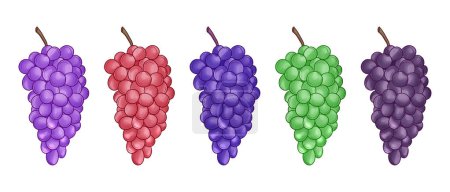 Téléchargez les illustrations : Jeu de raisins dessinés à la main - en licence libre de droit
