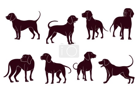 Téléchargez les illustrations : Main dessine silhouette de chiens beagle. illustration vectorielle - en licence libre de droit