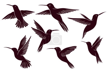Téléchargez les illustrations : Main dessine silhouette de colibri. illustration vectorielle - en licence libre de droit