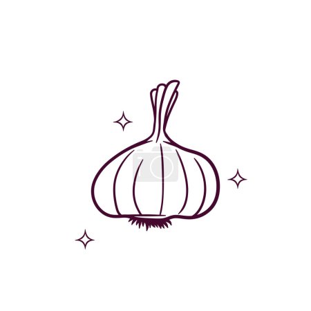 Illustration for Hand Drawn Garlic. Doodle Vector Sketch Illustration - Royalty Free Image