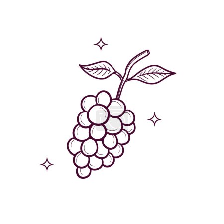 Illustration for Hand Drawn Grapes. Doodle Vector Sketch Illustration - Royalty Free Image