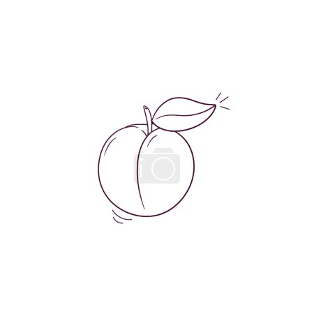 Téléchargez les illustrations : Illustration dessinée à la main de l'icône abricot. Illustration de croquis vectoriels Doodle - en licence libre de droit
