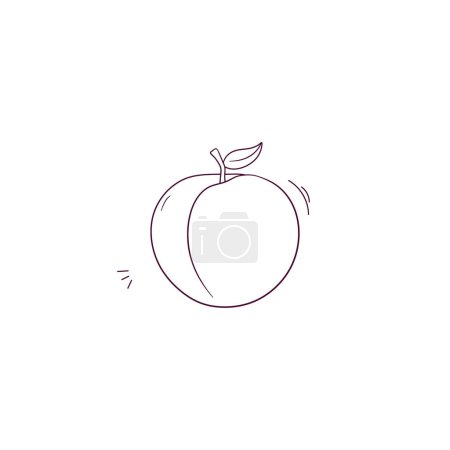 Illustration for Hand Drawn illustration of apricot icon. Doodle Vector Sketch Illustration - Royalty Free Image