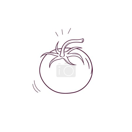 Ilustración de Ilustración dibujada a mano del icono del tomate. Doodle Vector Sketch Ilustración - Imagen libre de derechos