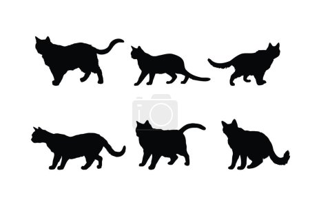 Illustration for Cute cat walking silhouette bundle design. Cat standing in different positions silhouette collection. Cute home cat vector design on a white background. Feline standing silhouette set vector. - Royalty Free Image