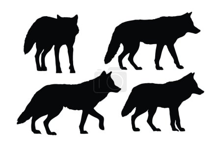 Téléchargez les illustrations : Coyote debout design sur un fond blanc. Ensemble vecteur de silhouette de coyote sauvage. Conception de faisceau de silhouette de loup coyote. Carnivore animaux marchant dans différentes positions silhouette collection. - en licence libre de droit