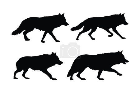 Wild wolf vector design on a white background. Wolves walking silhouette bundle design. Wild wolves walking silhouette set vector. Big predator standing in different positions silhouette collection.