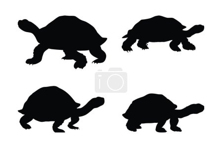 Wilde Schildkröten stehen da, Silhouetten auf weißem Hintergrund. Meeresbewohner und Schildkröten gehen in verschiedenen Positionen. Schildkröten Ganzkörper Silhouette Kollektion. Wilde Schildkröte Silhouette Bündel.