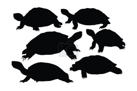 Illustration for Wild turtle standing, silhouettes on a white background. Sea creatures and reptiles walking in different positions. Tortoise full body silhouette collection. Wild turtle silhouette bundle. - Royalty Free Image