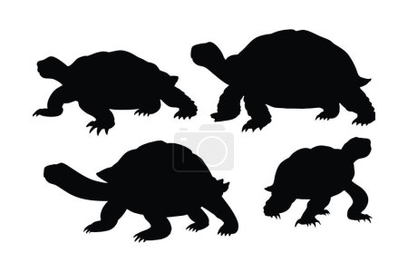 Meereslebewesen und Reptilien wie Schildkröten, Silhouetten auf weißem Hintergrund. Schildkröten Ganzkörper Silhouette Kollektion. Wilde Schildkröten schwimmen in verschiedenen Positionen. Schöne Schildkröten Silhouette Bündel.