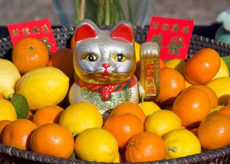 Close up on golden cat statue with one paw elevated, surrounded by citrus, oranges, lemons, tangerines. Chinese New Year table center piece