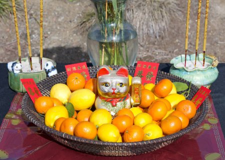 Close up on golden cat statue with one paw elevated, surrounded by citrus, oranges, lemons, tangerines. Chinese New Year table center piece