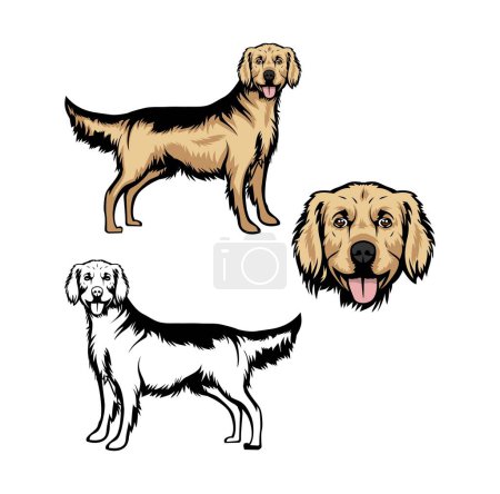 Illustration for Golden Retriever Dog Cartoon Character Design Illustration , suitable for your design needs, logo, illustration, animation, etc. - Royalty Free Image