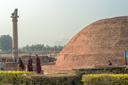 Photo for 12 19 2014 Vintage Brick Stupa And Lion Pillar Kolhua Vaishali Bihar India Asia. - Royalty Free Image