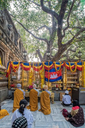 Photo for 12 24 2014 Buddhist monks at Mahabodhi Tree UNESCI world heritage site Bodh Gaya Bihar India Asia. - Royalty Free Image