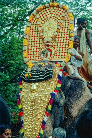 Photo for 0# 30 2020 Golden Decorative Uthralikavu pooram Elephant Festival Trichur now Thrissur Kerala India ASIA - Royalty Free Image