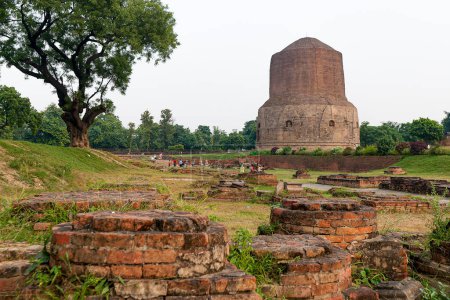  10 02 2005 Vintage Old Heritage Dhamek Stupa ist eine der ältesten buddhistischen Strukturen Indiens in Sarnath in Varanasi Uttar Pradesh Indien Asien.