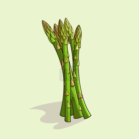 Illustration for A bunch of green asparagus on a light green background - Royalty Free Image
