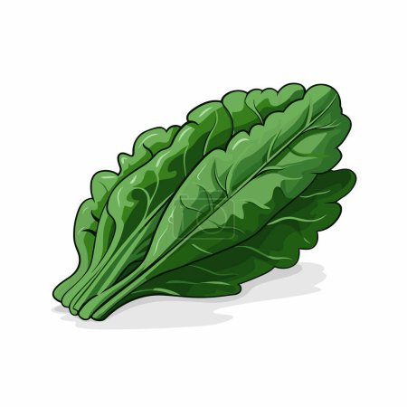 Ilustración de Un ramo de verduras de hoja verde sobre un fondo blanco - Imagen libre de derechos