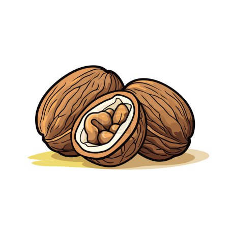 Illustration for A nut with its shell open on a white background - Royalty Free Image
