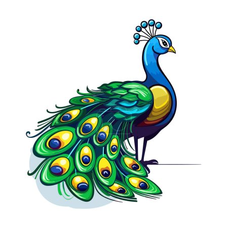 Ilustración de Un pavo real con sus plumas extendidas - Imagen libre de derechos