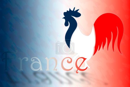 Illustration for Poster with the rooster in the colors of the French flag, the word France and ample space for text. - Royalty Free Image