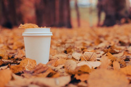 Eco zero waste white paper cup copy space mockup. Herbstblätter und eine Tasse Tee, um neben der herbstlichen Natur zu gehen. Vereint mit der Natur