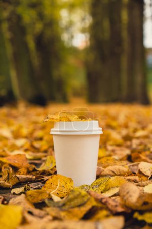 Photo for Eco zero waste white paper cup copy space mockup. Fall leaves and cup of tea coffee to go next to autumn nature. Unite with nature cottagecore - Royalty Free Image