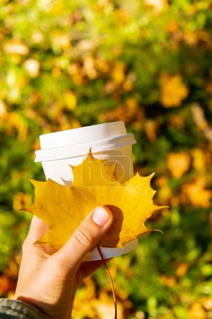 Frau hält Eco zero waste white paper cup copy space mockup Herbst Herbst Ahorn gelb Blatt neben Herbst Natur. Tasse Kaffee to go. Heißes Getränk zum Mitnehmen gemütliche Stimmung Erholung Urlaubskonzept