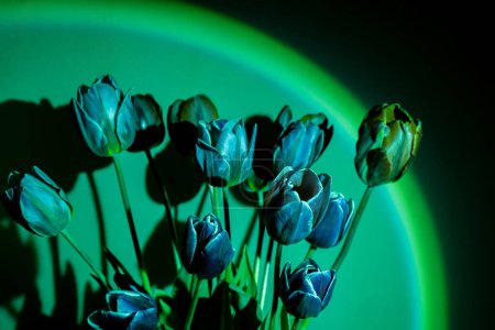 Photo for Pink colored tulip flower in neon light on green gradient background in the night light. Luminescence psychedelic art Creative dark holiday concept. Copy space greeting card Floral bouquet of fresh - Royalty Free Image