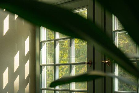 Téléchargez les photos : Fermer la feuille de palmier à côté de l'ancienne fenêtre. Modèle abstrait de décor d'arrière-plan de conception intérieure minimale maquette. Concept d'écologie plante exotique. Ombres chaudes de soleil de bronzage à travers la fenêtre verte. Esthétique - en image libre de droit