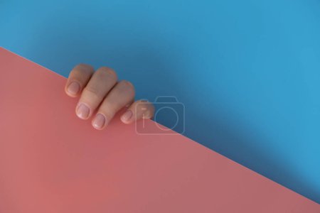 Stylish nude beige female nails on blue pink background. Modern trendy stylish Beautiful manicure. Cute pastel nail minimalistic design concept of beauty treatment. Gel nails. Skin care. Beautician