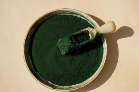 Natürliches organisches grünes Spirulina-Algenpulver in Schüssel und Kochlöffel auf neutralem Hintergrund. Chlorella Algen vegane Superfood Nahrungsergänzungsmittel Quelle und Entgiftung. Gesundes ernährungsphysiologisches Antioxidans