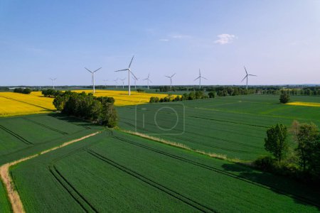 Aerial view Wind turbine on grassy yellow farm canola field against cloudy blue sky in rural area. Offshore windmill park with clouds in farmland Poland Europe. Wind power plant generating electricity