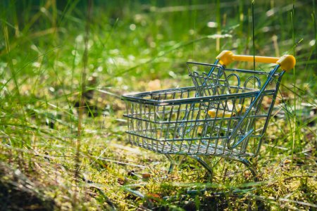 Shopping trolley on Background nature, forest, trees greenery. Sustainable lifestyle, conscious consumption. Mindful spending Black Friday sale discount shopaholism, ecology concept. The concept of