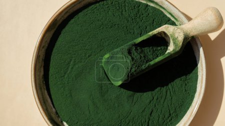 Natürliches organisches grünes Spirulina-Algenpulver in Schüssel und Kochlöffel auf neutralem Hintergrund. Chlorella Algen vegane Superfood Nahrungsergänzungsmittel Quelle und Entgiftung. Gesundes ernährungsphysiologisches Antioxidans