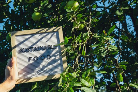 ALIMENTOS SOSTENIBLES mensaje sobre el fondo de las manzanas verdes bio-cultivadas ecológicas frescas en el jardín. Concepto de producción de alimentos en el campo. Producen la cosecha localmente. Sostenibilidad y responsabilidad 