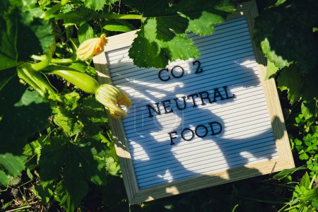 Letter board with text CO2 NEUTRAL FOOD on background of garden bed with green zucchini. Organic farming, produce local vegetables concept. Supporting local farmers. Seasonal market 