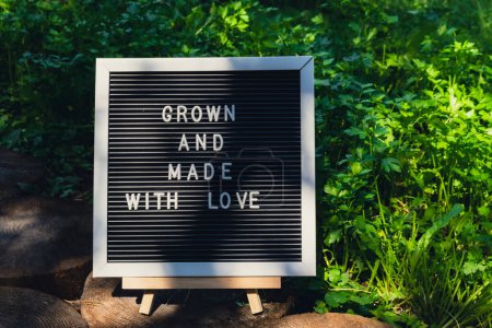 Letter board with text GROWN AND MADE WITH LOVE on background of garden bed with green herb parsley. Organic farming, produce local vegetables concept. Supporting local farmers. Seasonal market 