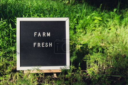 Letter board with text FARM FRESH on background of garden bed with green herb dill. Organic farming, produce local vegetables concept. Supporting local farmers. Seasonal market 