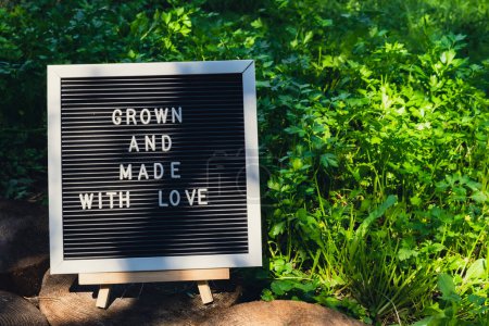 GROWN AND MADE WITH LOVE message on background of fresh eco-friendly bio grown green herb parsley in garden. Countryside food production concept. Locally produce harvesting. Sustainability and responsibility 