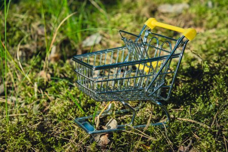 Shopping trolley on Background nature, forest, trees greenery. Sustainable lifestyle, conscious consumption. Mindful spending Black Friday sale discount shopaholism, ecology concept. The concept of