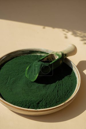 Organic blue-green algae spirulina powder food in plate with wooden spoon. Copy space for your text Health benefits of spirulina chlorella. Vitamins and minerals to diet. Detox dietary supplement