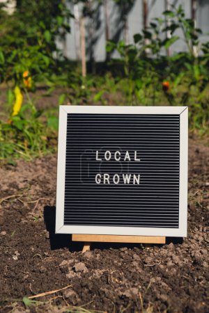 Letter Board mit Text LOKAL GROWN auf dem Hintergrund des Gartenbeetes mit Paprika. Ökologischer Landbau, produzieren lokales Gemüse Konzept. Unterstützung lokaler Landwirte. Saisonmarkt 