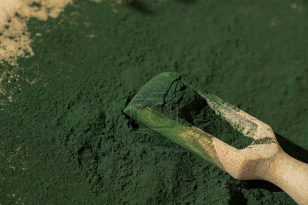 Organic blue-green algae spirulina powder food in wooden spoon. Copy space for your text Health benefits of spirulina chlorella. Vitamins and minerals to diet. Detox dietary supplement Seaweed