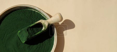 Natural organic green spirulina algae powder in bowl and wooden spoon on neutral background. Chlorella seaweed vegan superfood supplement source and detox. Copy space Healthy nutritional antioxidant